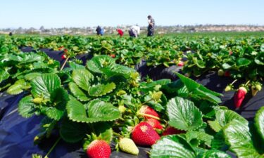 See how many fruits and vegetables people consume in California