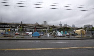 Portland mayor bans homeless encampments near highways over pedestrian deaths. Pictured is a homeless camp in southeast Portland on April 22