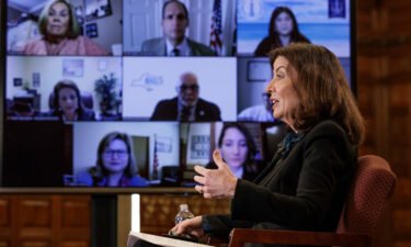 Gov. Kathy Hochul meets virtually with leadership from education groups including school superintendents