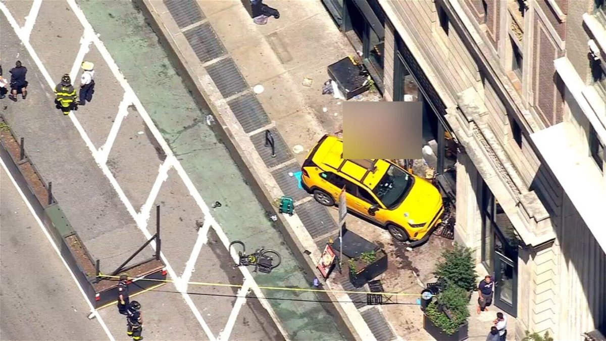 <i>WABC</i><br/>Police believe the driver then panicked and hit the gas instead of the brake