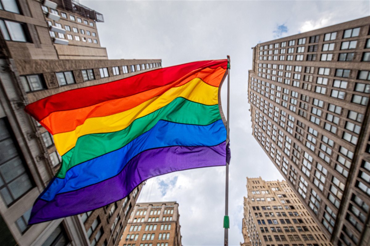 A library board in New York reversed its decision to remove all LGBTQ-related displays from its children's section in four of its libraries during Pride month after the removal was criticized.