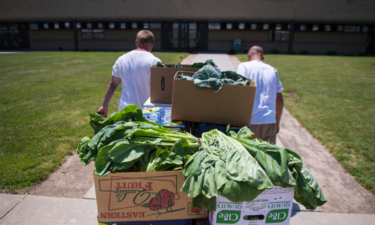 Can prison gardens help address the problem with mass incarceration?