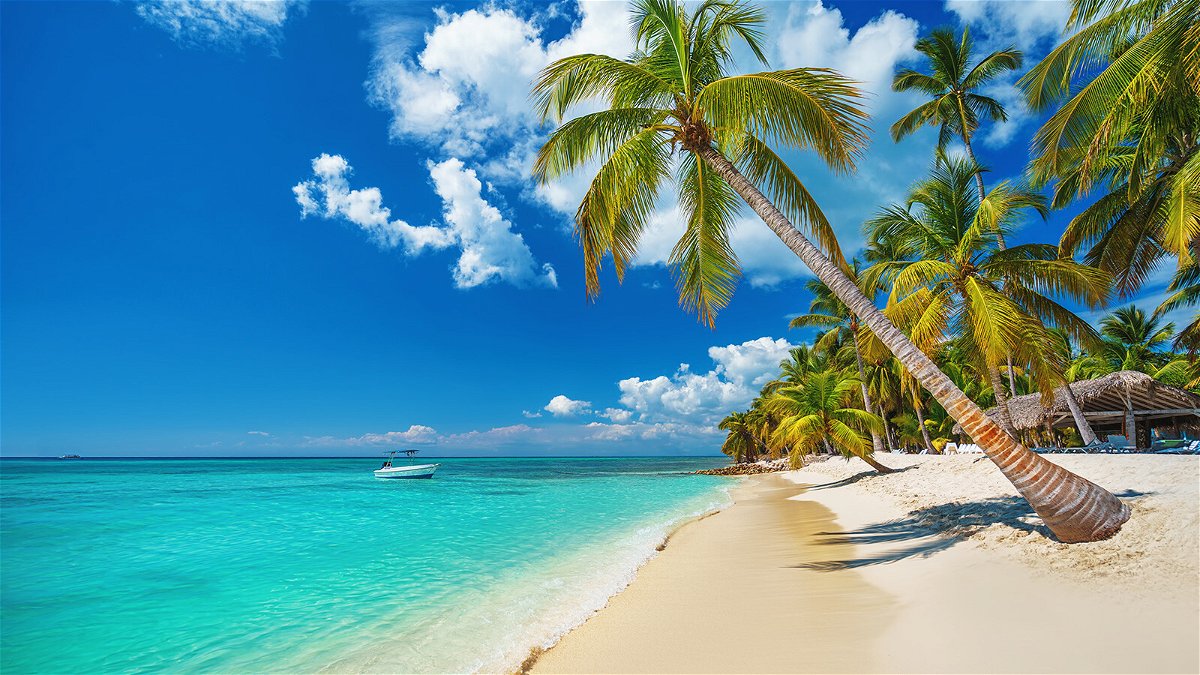 Tropical beach in Punta Cana