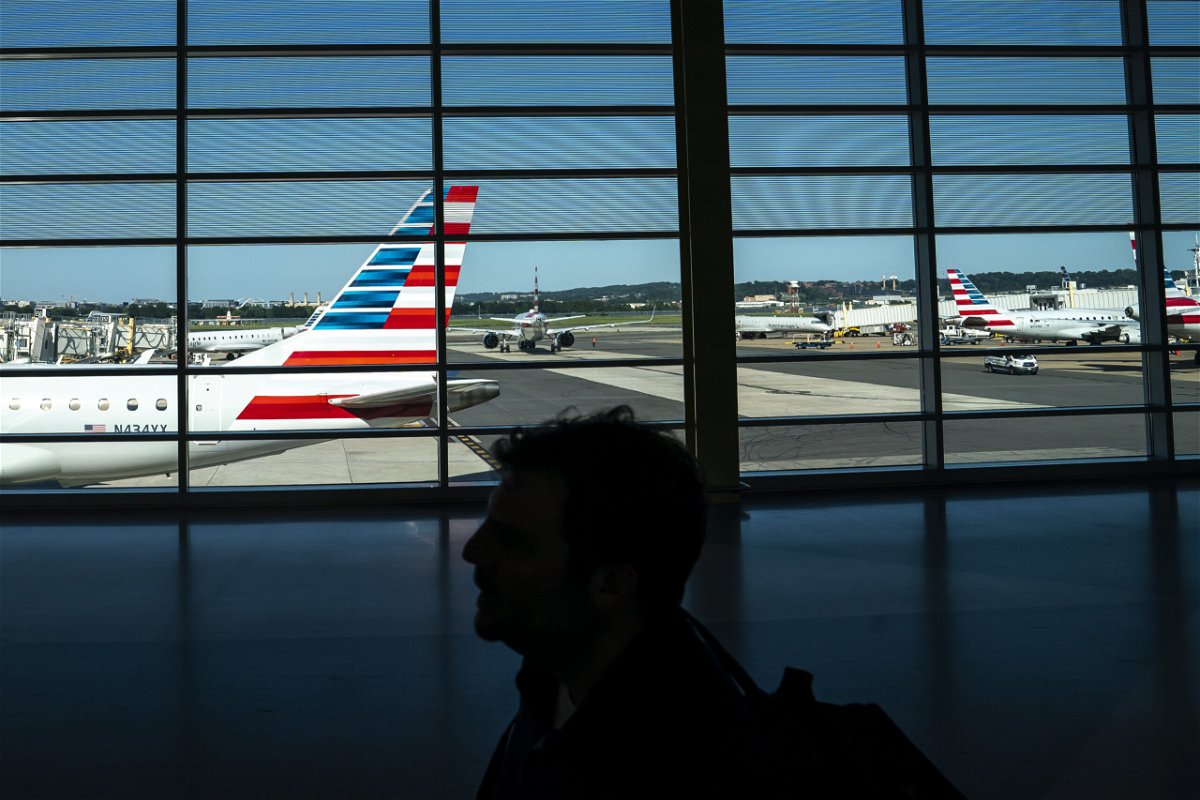 A traveler walks past American Airlines planes gated at Ronald Regan Washington National Airport on July 11 in Arlington