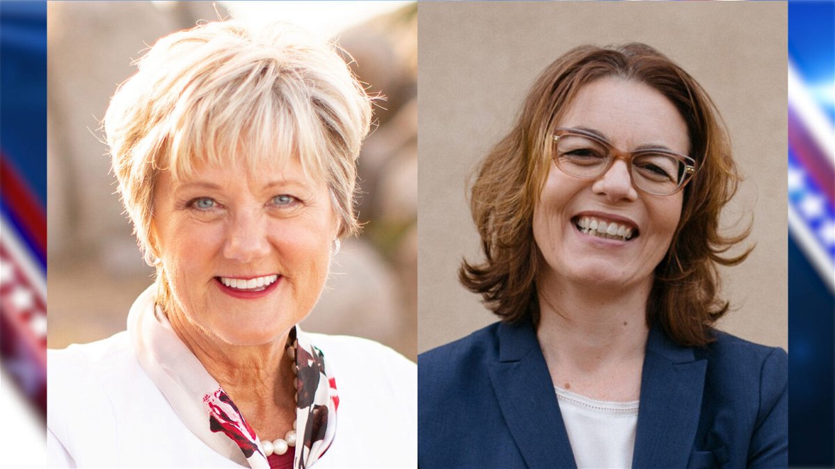 Vicki Nohrden and Dawn Addis are running for California State Assembly in District 30.