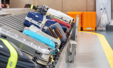 Airlines making the most from baggage fees