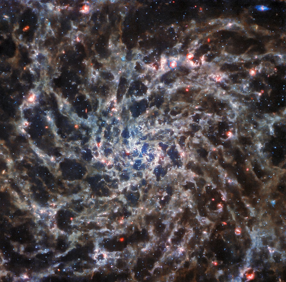 <i>ESA/NASA/CSA/J. Lee</i><br/>A dazzling spiral galaxy located 29 million light-years from Earth appears in 