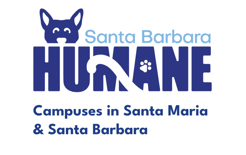 Santa Barbara Humane Offers Free Microchips At Santa Maria Campus Ahead ...