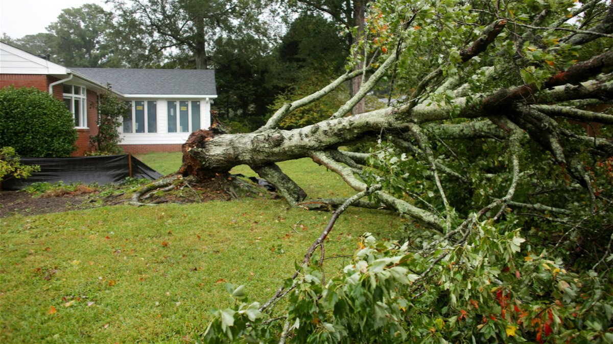 <i>Stephen M. Katz/The Virginian-Pilot via AP</i><br/>A tree is seen down in the Thoroughgood neighborhood of Virginia Beach during severe weather on Friday