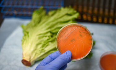 A deadly outbreak of listeria in six states has been linked to contaminated deli meat and cheese. Certain leafy greens such as kale