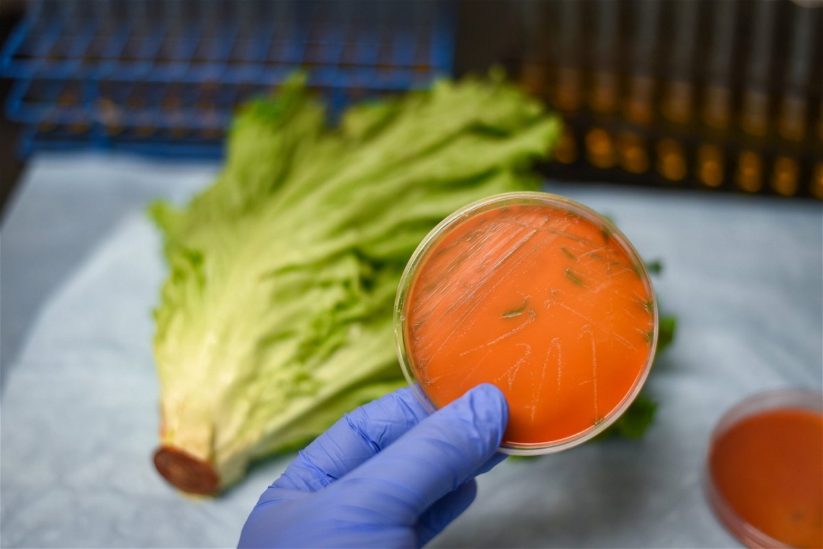 <i>Manjurul/iStockphoto/Getty Images</i><br/>A deadly outbreak of listeria in six states has been linked to contaminated deli meat and cheese. Certain leafy greens such as kale