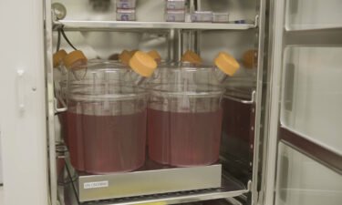 Scientists have transfused lab-made red blood cells into a human volunteer in a world-first trial that experts say has major potential for people with hard-to-match blood types or conditions such as sickle cell disease.