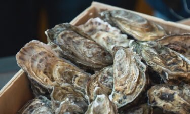 FDA warns against consuming certain raw oysters distributed to 13 states after reported illnesses.