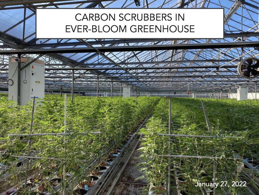 At a cost of $2 million, Ever-Bloom, an 11-acre cannabis greenhouse operation on Foothill Road in the Carpinteria Valley, installed 100 Dutch carbon filters, called 