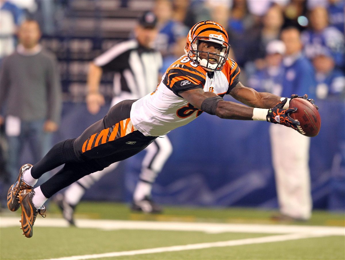 <i>Andy Lyons/Getty Images</i><br/>Johnson of the Cincinnati Bengals reaches for a pass on November 14