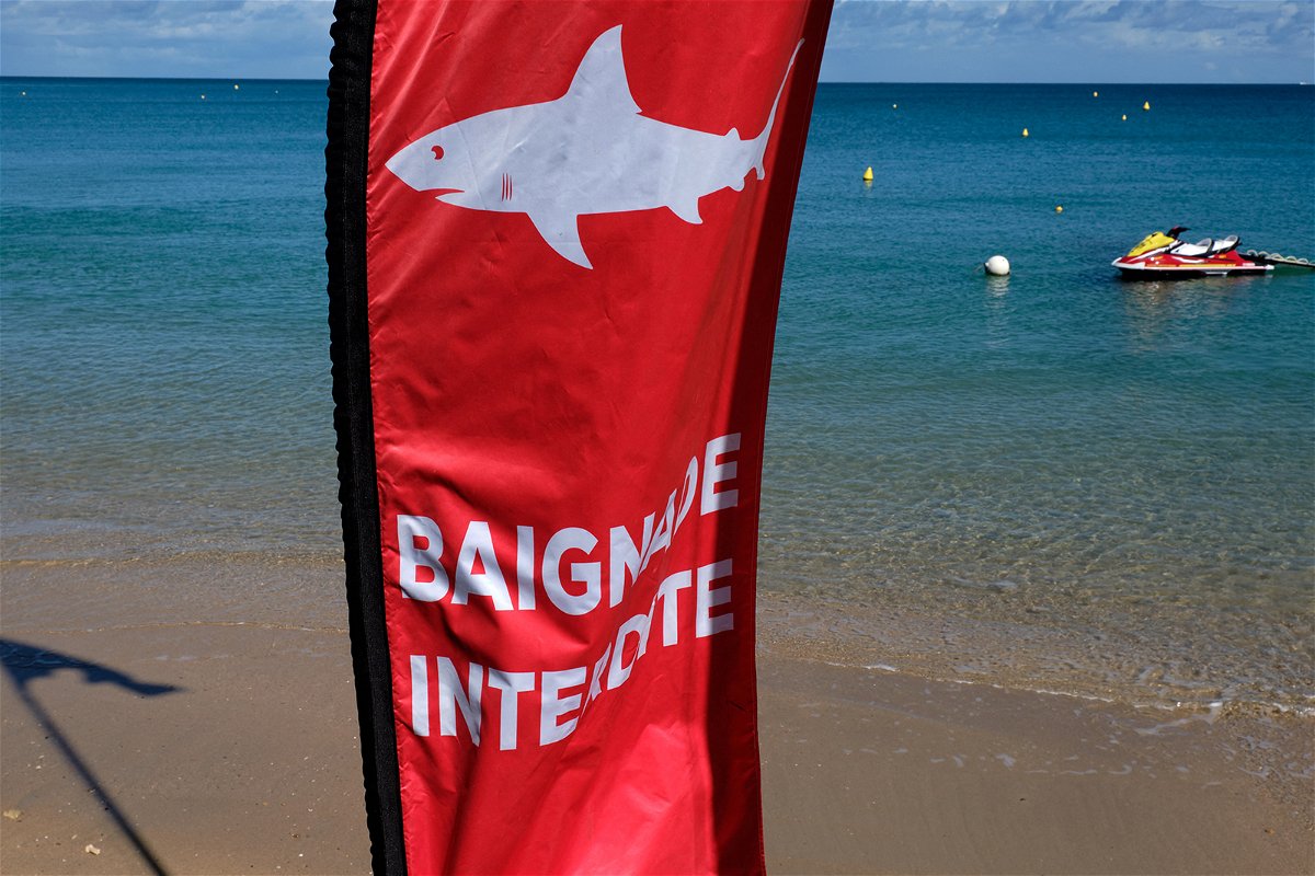 tourist killed in shark attack off new caledonia