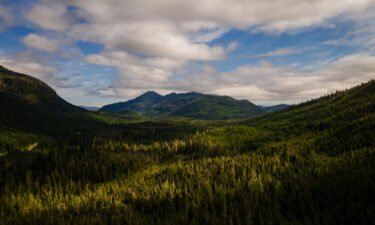 The Tongass National Forest on Prince of Wales Island