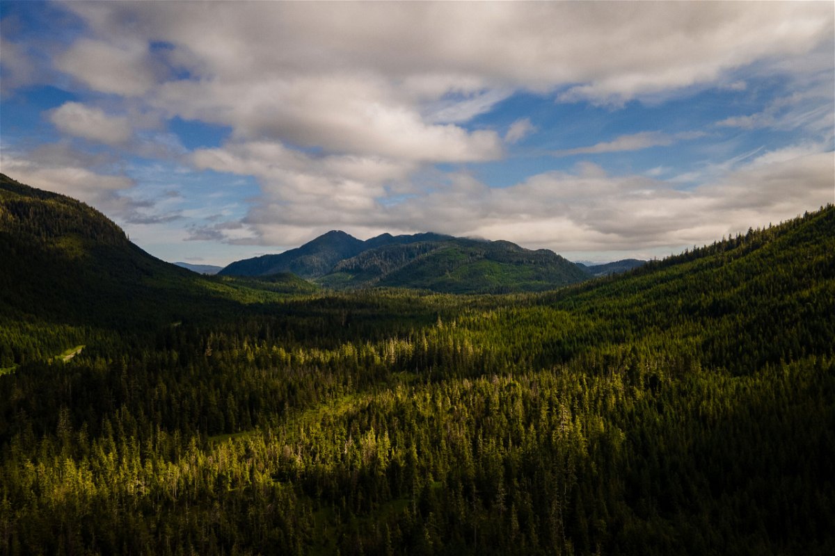 <i>Salwan Georges/The Washington Post/Getty Images</i><br/>The Tongass National Forest on Prince of Wales Island