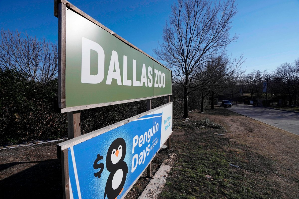 <i>Tony Gutierrez/AP/FILE</i><br/>The man suspected of stealing two tamarin monkeys from the Dallas Zoo allegedly admitted to the crime