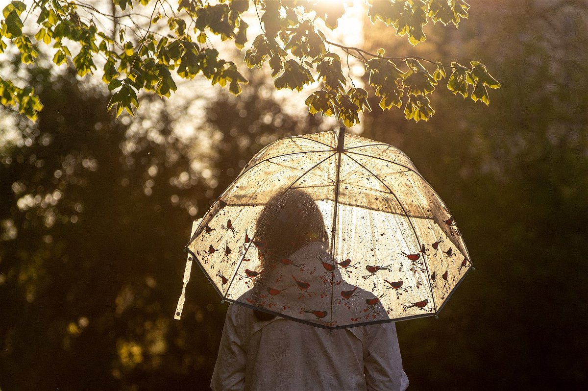 Umbrella with light rain
