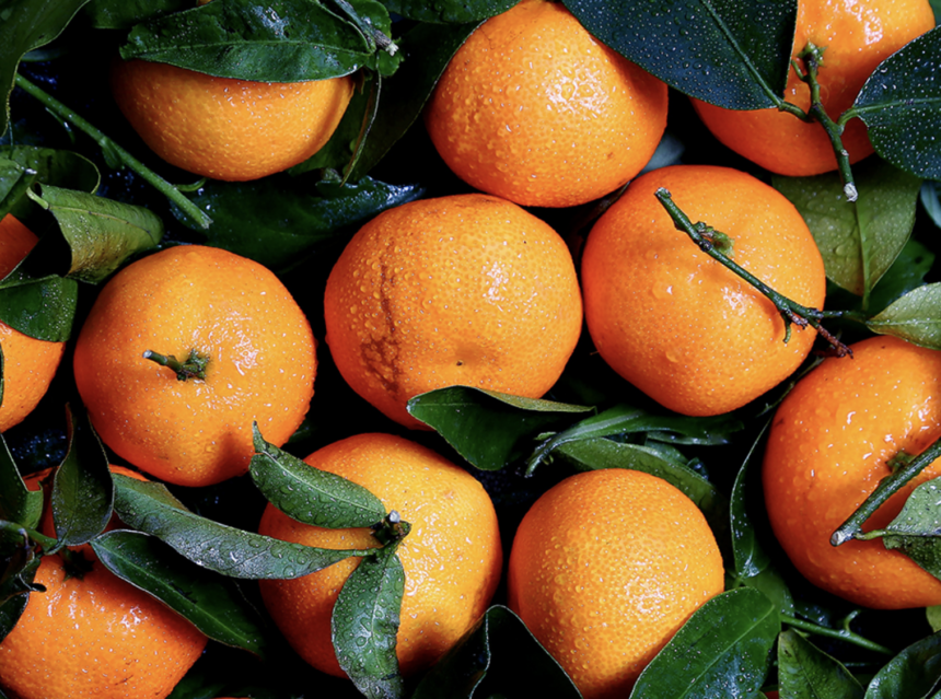 Foodbank of Santa Barbara County prepares for cuts to Government Food Programs