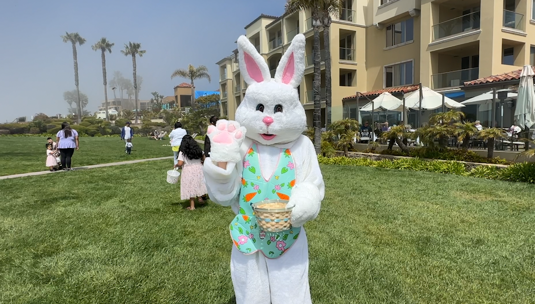 Tourists travel across Southern California to celebrate Easter Sunday in Pismo Beach | News Channel 3-12