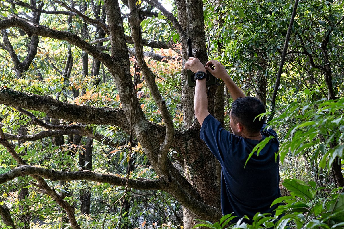 <i>Noemi Cassanelli/CNN</i><br/>Professor Sung Yik-hei checks a surveillance camera fixed on a tree in Hong Kong on April 13