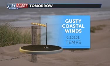 Gusty coast graphic