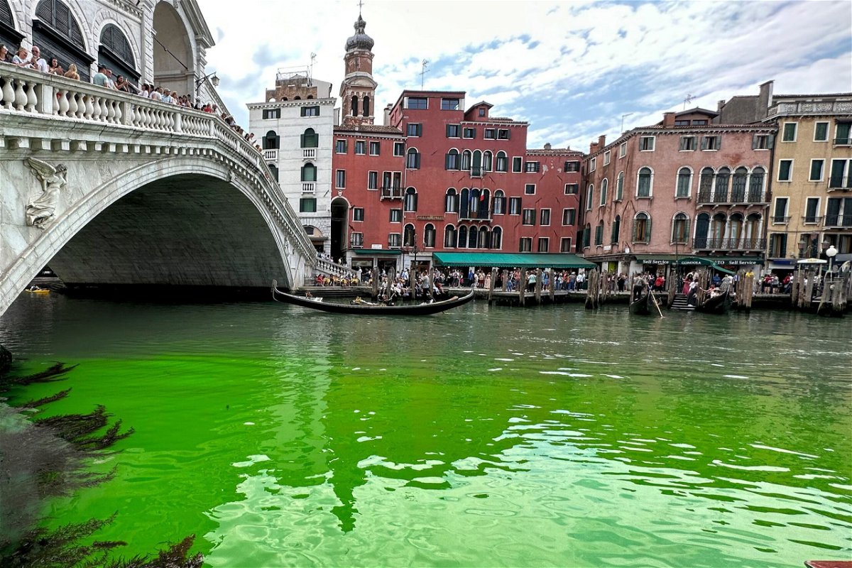 Gondolas navigate by the Rialto Bridge on Venice's historical Grand Canal as a patch of phosphorescent green liquid spreads in it