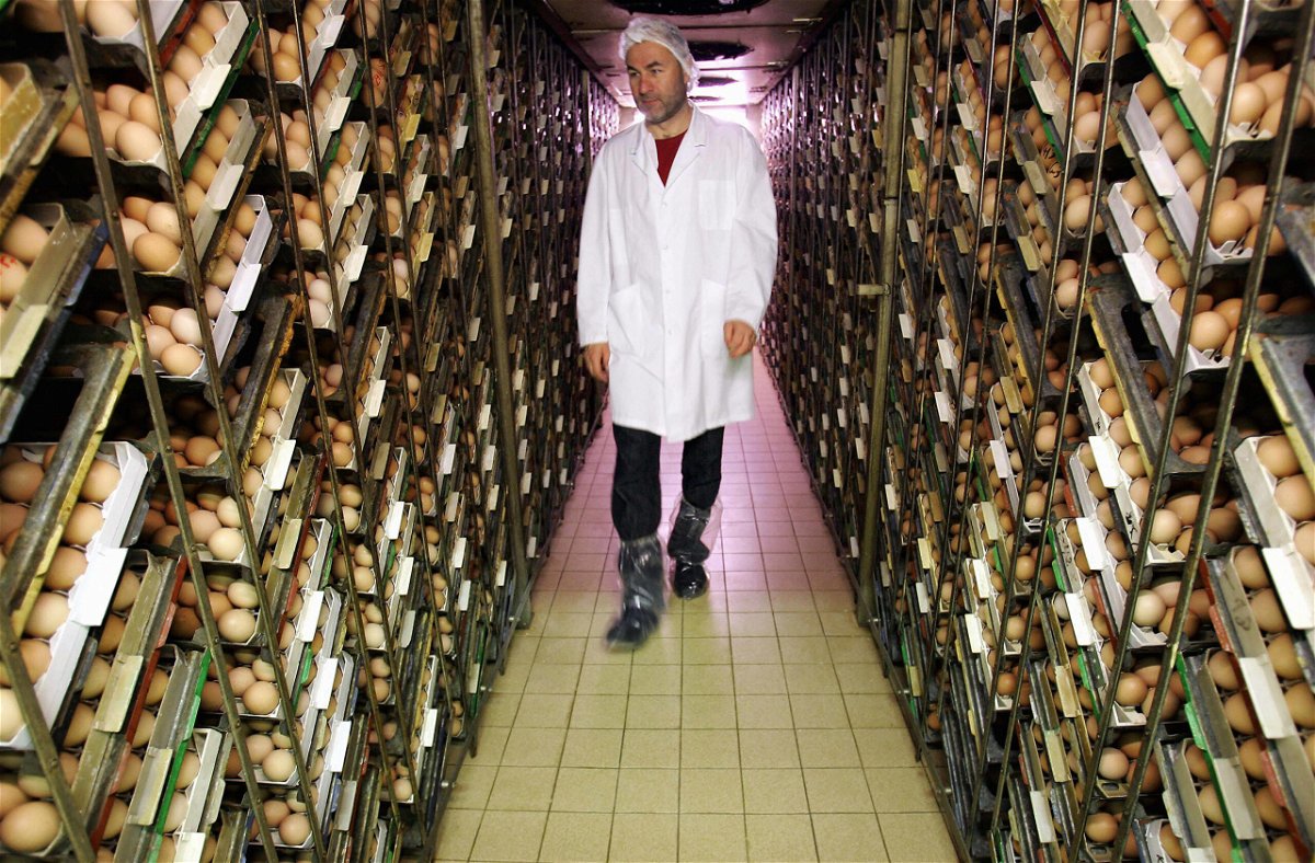 <i>FREDERICK FLORIN/AFP/Getty Images</i><br/>French Couvoirs de l'Est owner Joseph Scherbeck walks past thousends of chicken eggs in an incubator in February 2006. The company