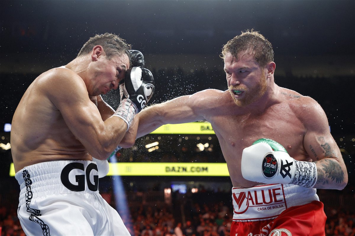 <i>Sarah Stier/Getty Images</i><br/>Canelo Alvarez retained his titles after beating Gennadiy Golovkin in September.