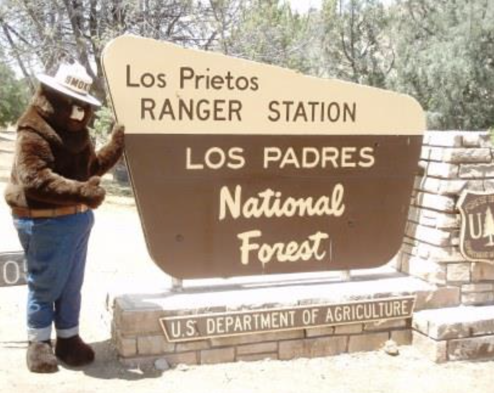 The Los Padres Forest says Paradise Road is open for visitors on foot or bikes at the first crossing but not for cars due to the ongoing water flow.