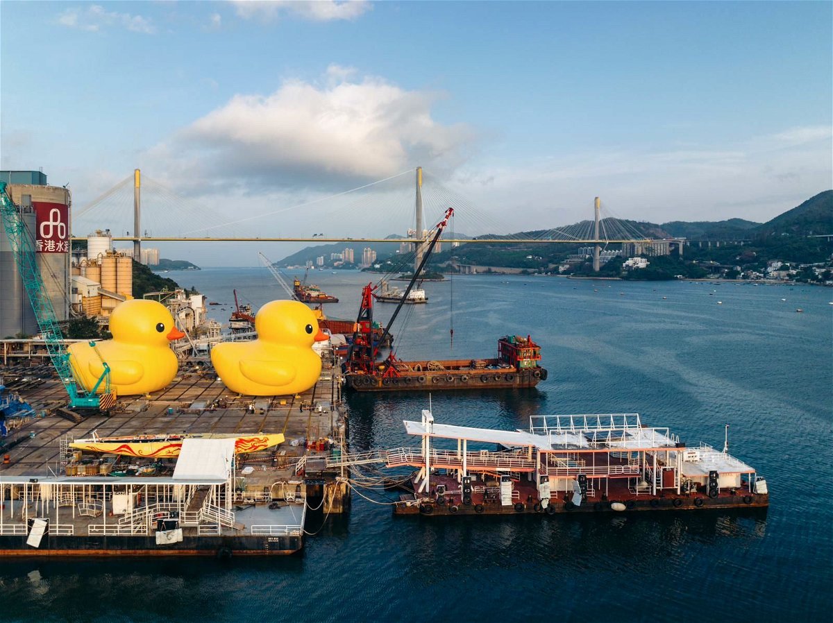 The ducks were spotted during a test run in Hong Kong on May 25.