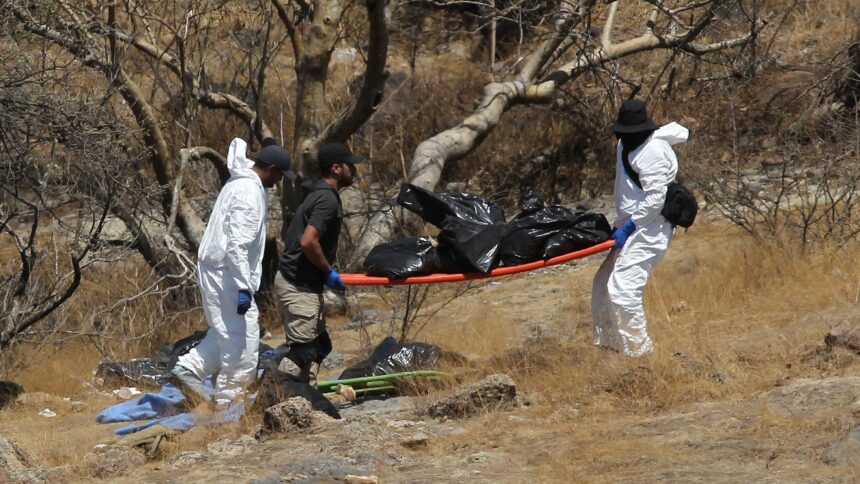 Human Remains Found In 45 Bags Are Missing Call Center Staff, Mexico ...