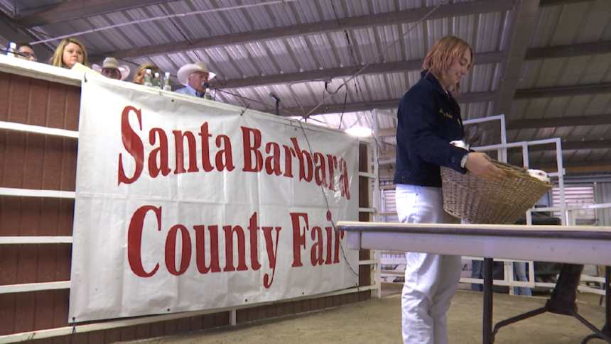 Santa Barbara County Fair Junior Livestock Auction