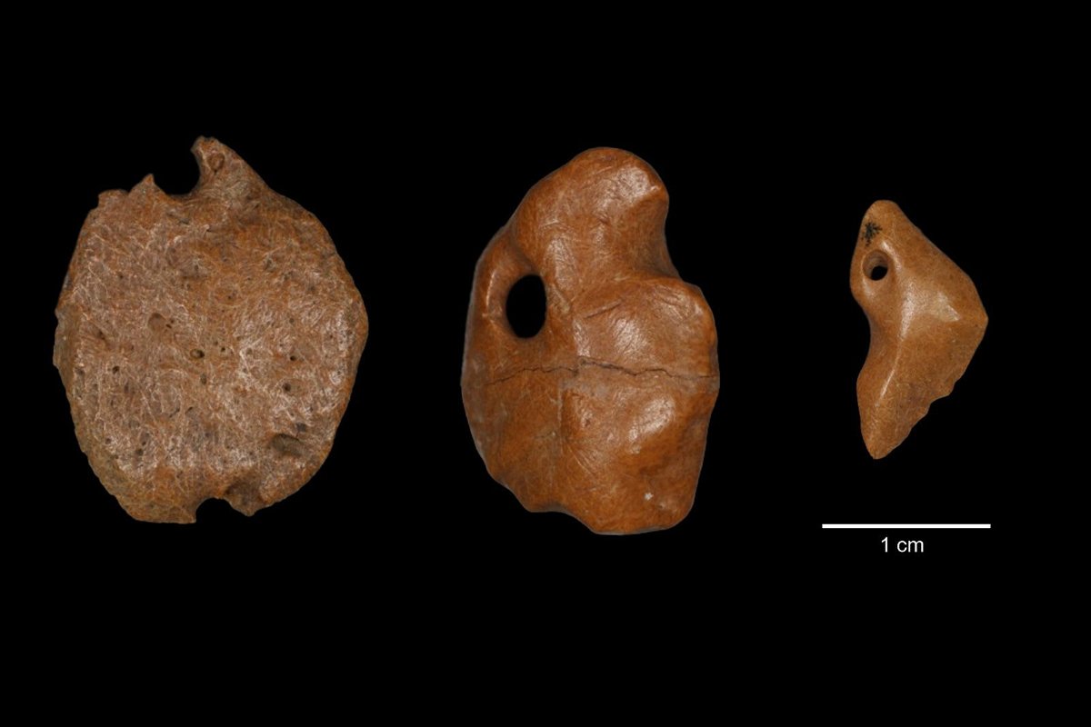 This image shows artifacts made of bony material from a giant sloth discovered at a rock shelter in Brazil and excavated from archaeological layers dated to 25