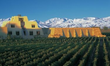 The Catena Zapata winery is a pyramid-like structure inspired by Mayan architecture.