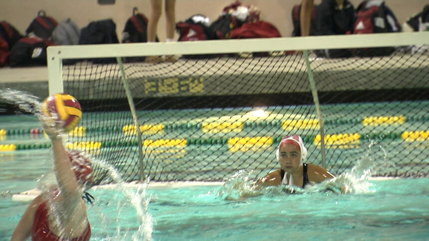 ROYALS WATER POLO.00_00_26_22.Still001