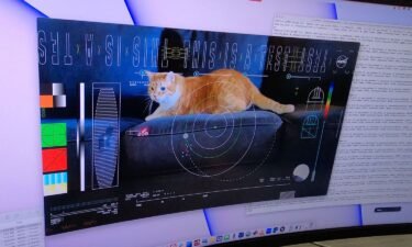A computer screen in NASA's Jet Propulsion Laboratory's mission support area shows Taters the cat in the first high-definition streaming video to be sent via laser from deep space.