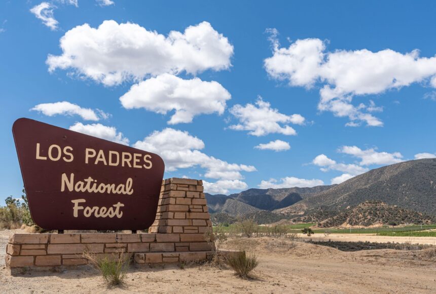 Arizona Man Rescued from California's Los Padres National Forest