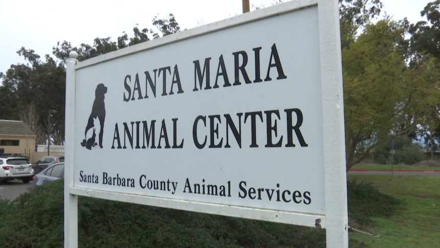 Santa Maria Animal Shelter