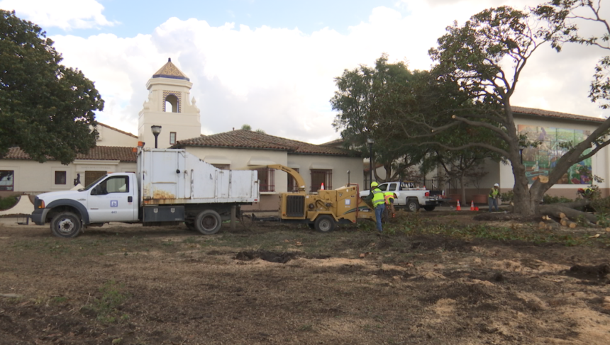 Santa Maria City Hall Landscaping Renovations