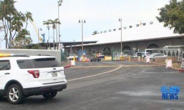 Victims have been treated and released from the hospital following a deadly crash that hit Carnival Miracle passengers at Pier 2-B at Honolulu Harbor on Friday.