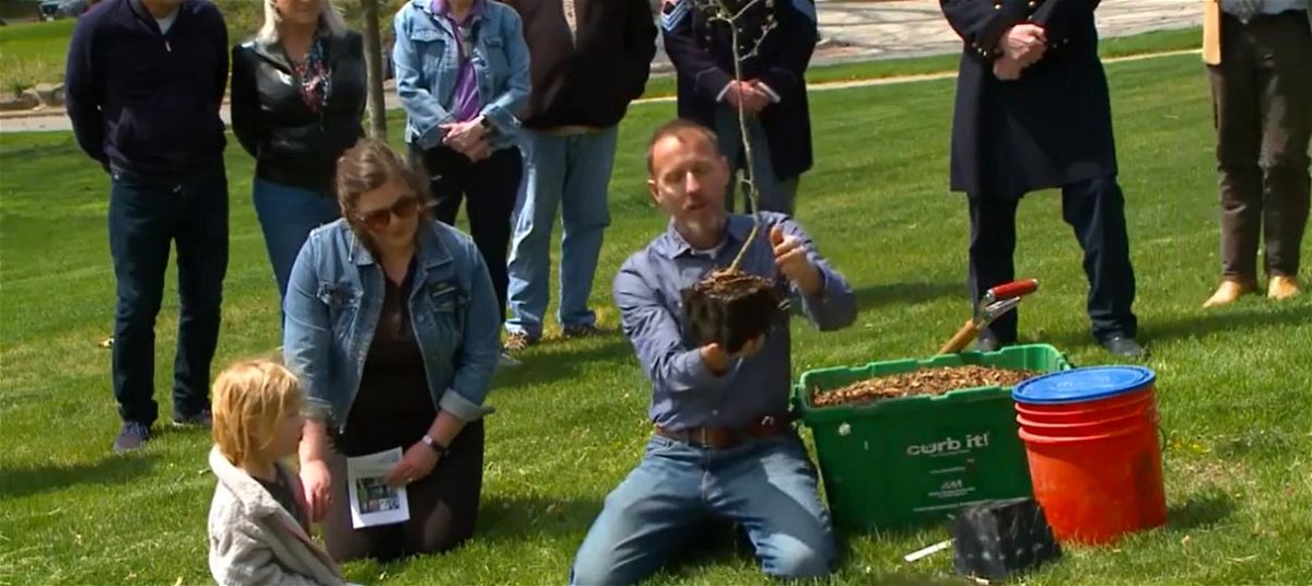 <i>KCCI via CNN Newsource</i><br/>Cuttings from 150-year-old trees near Abraham Lincoln's grave planted at Hoyt Sherman Place in Des Moines