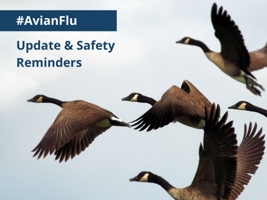 Avian flu outbreak prompts response from local health agencies and ...