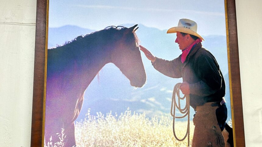 Monty Roberts 17ft Blue Lead Line Rope - Durable Soft Nylon