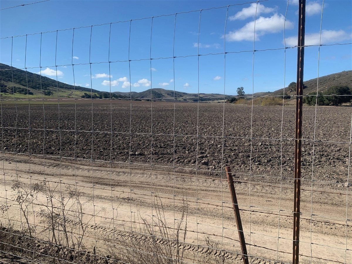 The owners of SFS Farms OpCo1 never got a county business license to plant cannabis on this 87-acre property on the historic Campbell Ranch, located at 4874 Hapgood Rd. west of Buellton. Thirty outdoor growers in the North County have dropped out since early 2022.