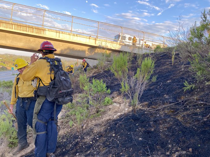 Chaparral Vegetation