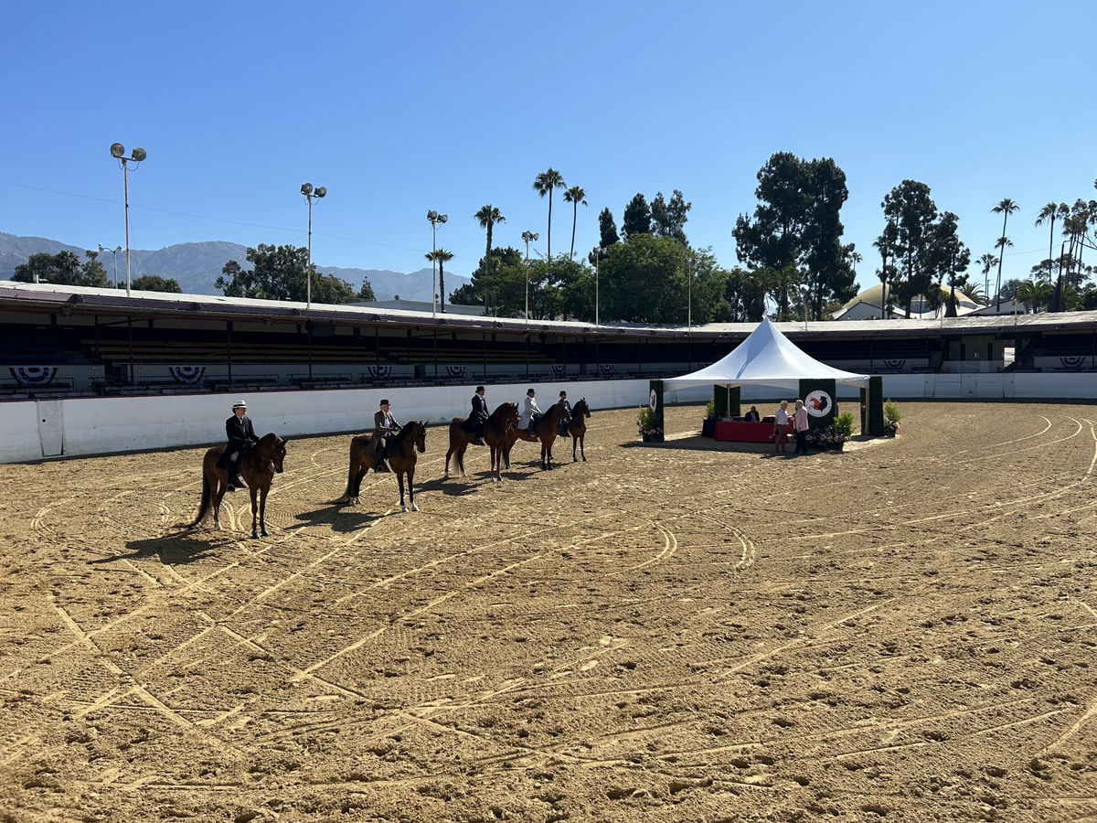 The Santa Barbara National Horse Show celebrates 104th year. 