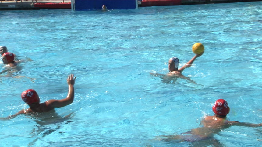 DP CARP WATER POLO.00_00_26_20.Still001